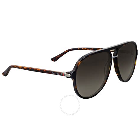 gucci sunglasses gg0015s|Gucci havana sunglasses women.